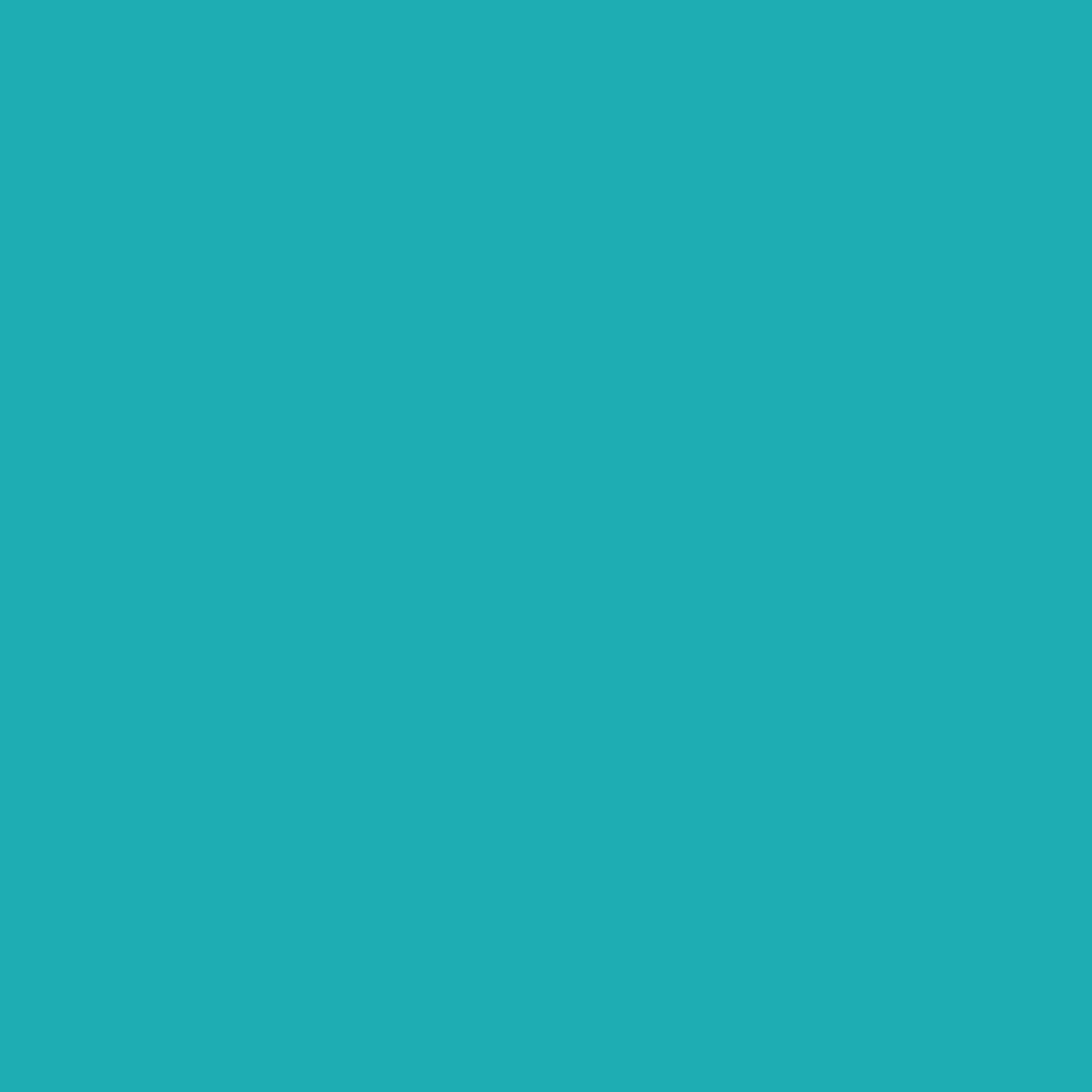 TURQUOISE TOWEL