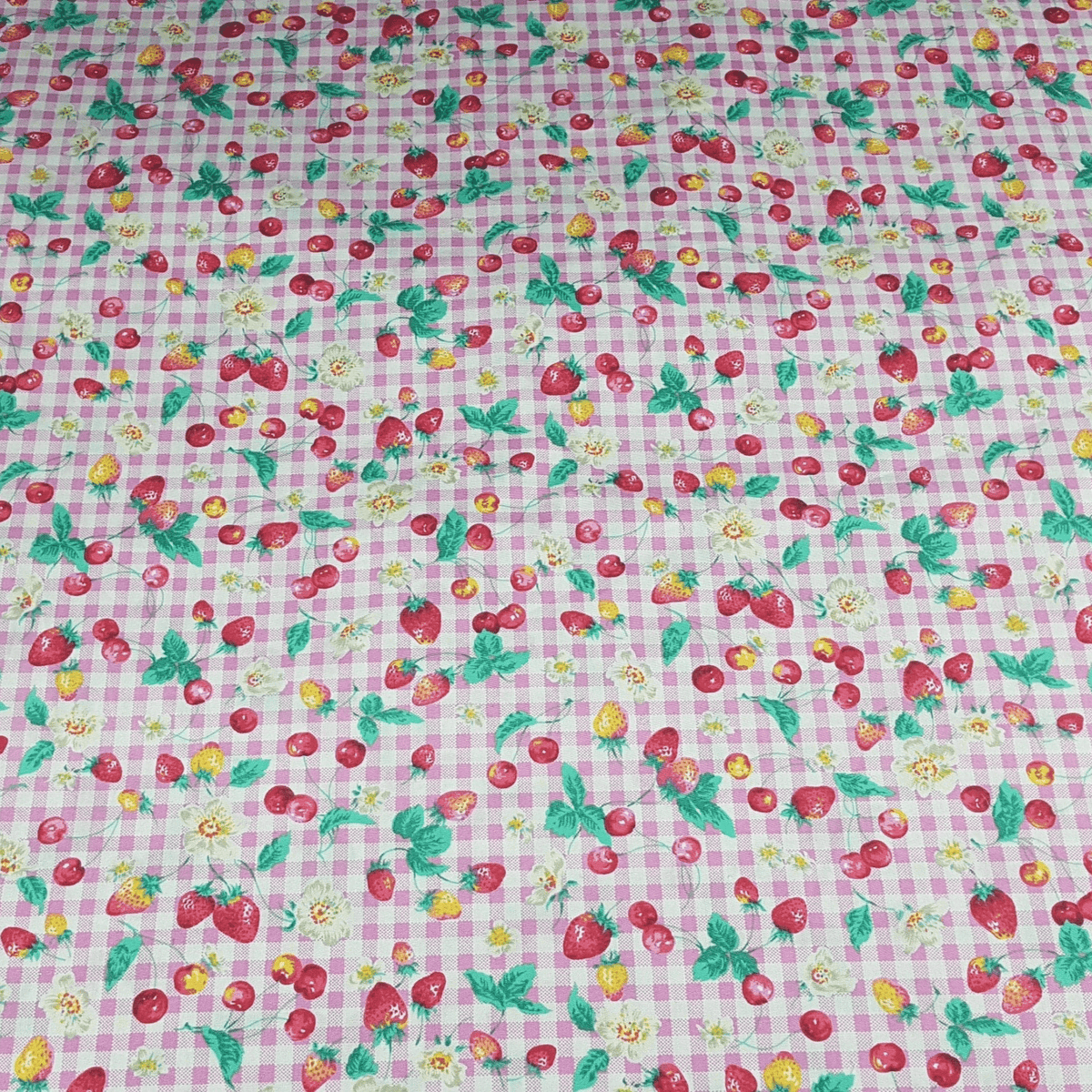 Strawberry - Dribble Bib