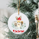 Lil Green Rhino christmas ceramic ornament AUSTRALIAN ANIMAL ORNAMENT