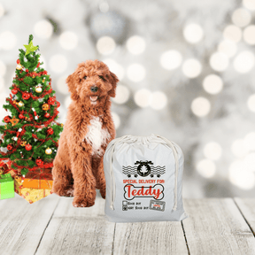 Lil Green Rhino Pet santa sack SPECIAL DELIVERY PET SANTA SACK